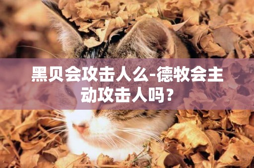 黑貝會攻擊人么-德牧會主動攻擊人嗎？