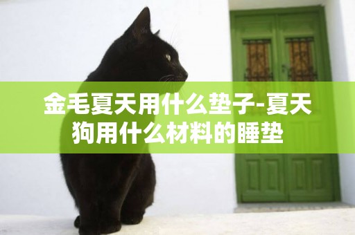 金毛夏天用什么墊子-夏天狗用什么材料的睡墊