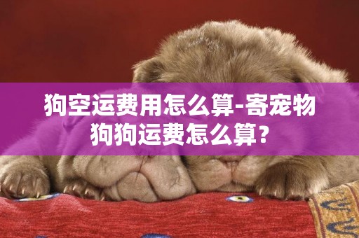 狗空運費用怎么算-寄寵物狗狗運費怎么算？