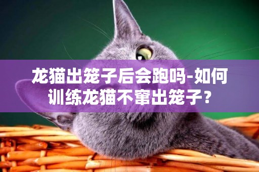 龍貓出籠子后會跑嗎-如何訓練龍貓不竄出籠子？