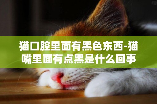 貓口腔里面有黑色東西-貓嘴里面有點黑是什么回事