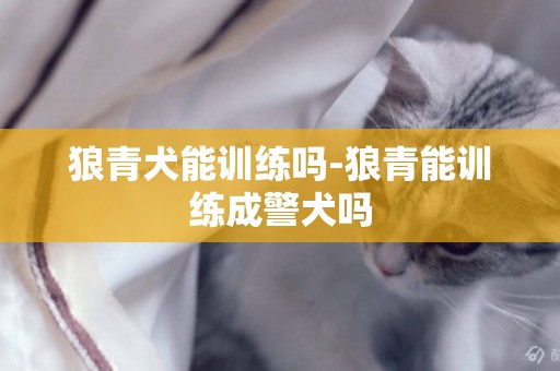 狼青犬能訓練嗎-狼青能訓練成警犬嗎