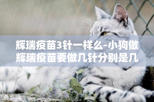 輝瑞疫苗3針一樣么-小狗做輝瑞疫苗要做幾針分別是幾聯苗