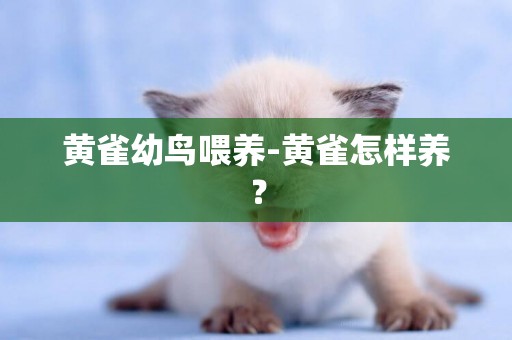 黃雀幼鳥喂養-黃雀怎樣養？