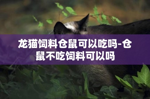 龍貓飼料倉鼠可以吃嗎-倉鼠不吃飼料可以嗎