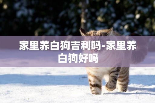 家里養白狗吉利嗎-家里養白狗好嗎