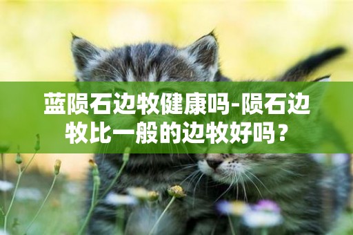 藍隕石邊牧健康嗎-隕石邊牧比一般的邊牧好嗎？