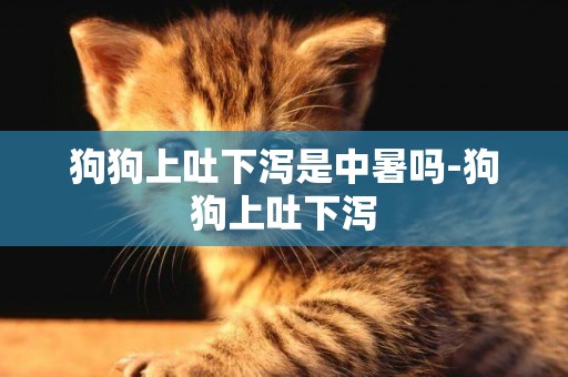 狗狗上吐下瀉是中暑嗎-狗狗上吐下瀉