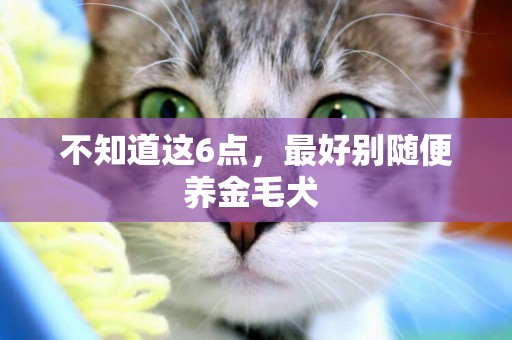 不知道這6點，最好別隨便養金毛犬 