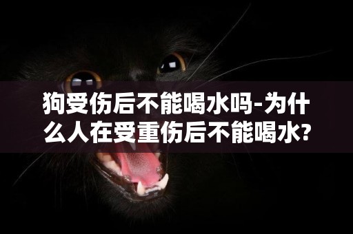 狗受傷后不能喝水嗎-為什么人在受重傷后不能喝水?