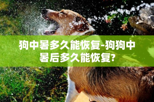 狗中暑多久能恢復-狗狗中暑后多久能恢復?