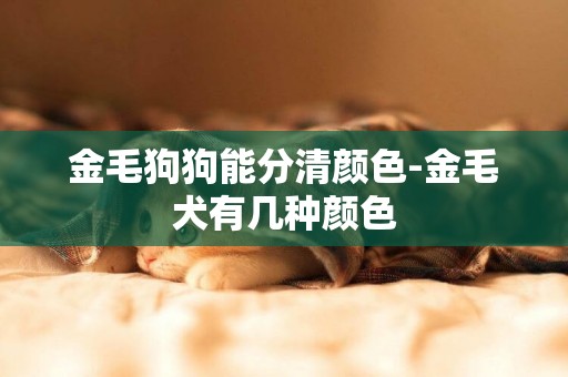 金毛狗狗能分清顏色-金毛犬有幾種顏色