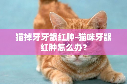 貓掉牙牙齦紅腫-貓咪牙齦紅腫怎么辦？