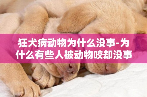 狂犬病動物為什么沒事-為什么有些人被動物咬卻沒事？
