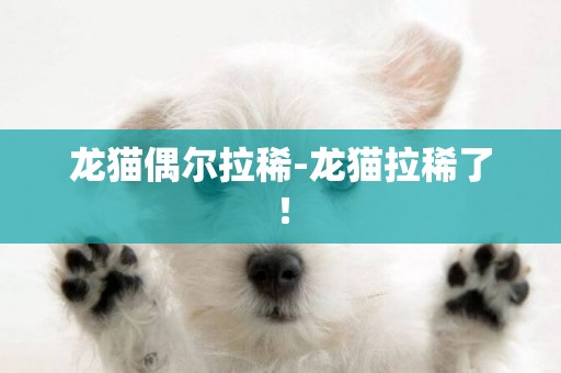 龍貓偶爾拉稀-龍貓拉稀了！