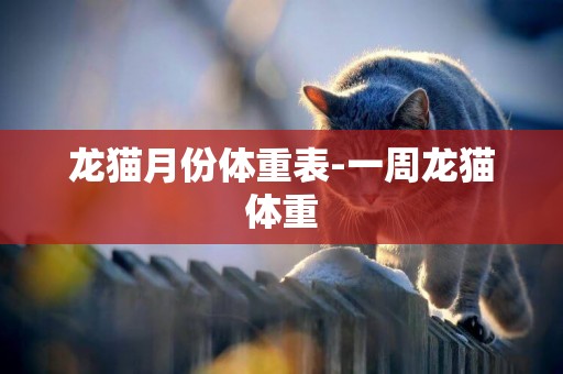 龍貓月份體重表-一周龍貓體重