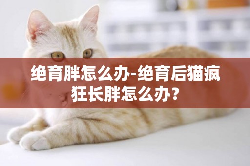 絕育胖怎么辦-絕育后貓瘋狂長胖怎么辦？
