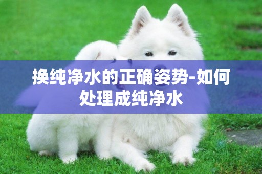 換純凈水的正確姿勢-如何處理成純凈水