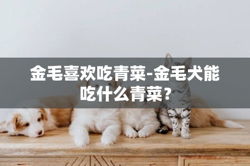 金毛喜歡吃青菜-金毛犬能吃什么青菜？