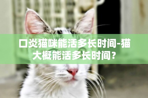 口炎貓咪能活多長時間-貓大概能活多長時間？