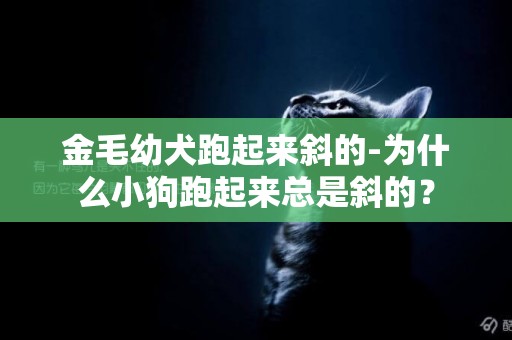 金毛幼犬跑起來斜的-為什么小狗跑起來總是斜的？