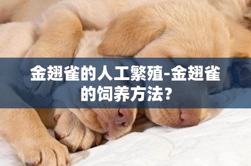 金翅雀的人工繁殖-金翅雀的飼養方法？