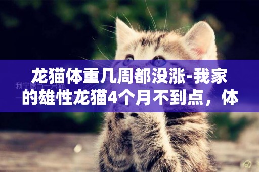 龍貓體重幾周都沒漲-我家的雄性龍貓4個月不到點，體重已經420克了，我在網上看到平均7個月的龍貓才4