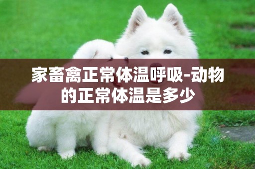 家畜禽正常體溫呼吸-動物的正常體溫是多少