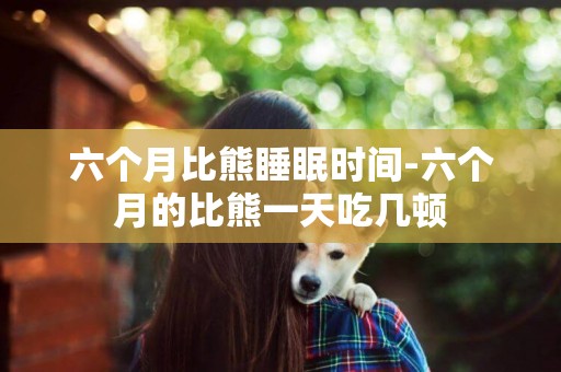 六個月比熊睡眠時間-六個月的比熊一天吃幾頓