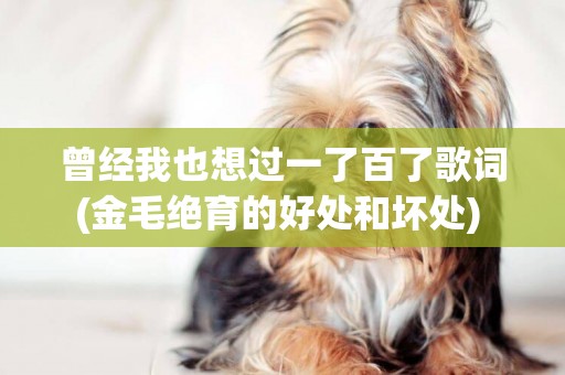 曾經我也想過一了百了歌詞(金毛絕育的好處和壞處) 