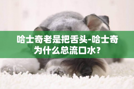 哈士奇老是把舌頭-哈士奇為什么總流口水？