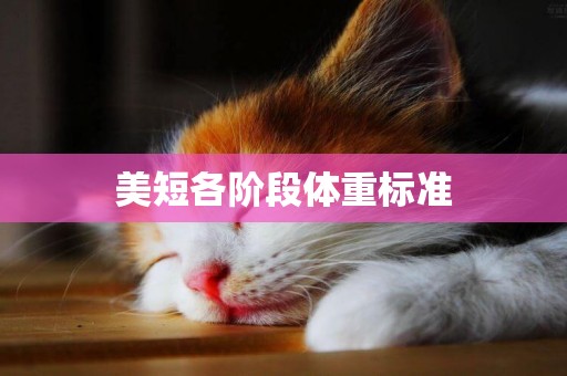 美短各階段體重標準