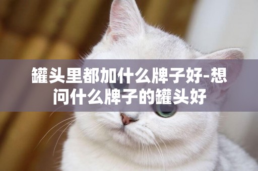 罐頭里都加什么牌子好-想問什么牌子的罐頭好