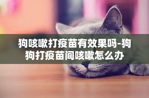 狗咳嗽打疫苗有效果嗎-狗狗打疫苗間咳嗽怎么辦