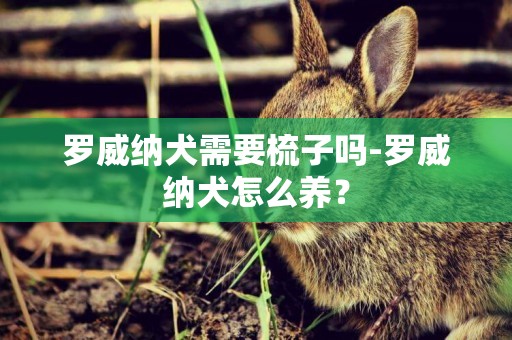 羅威納犬需要梳子嗎-羅威納犬怎么養？