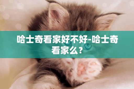 哈士奇看家好不好-哈士奇看家么？