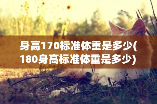 身高170標準體重是多少(180身高標準體重是多少) 