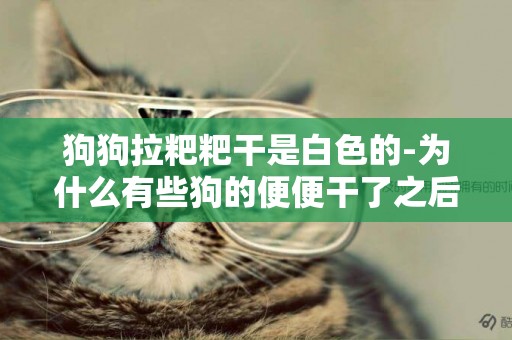 狗狗拉粑粑干是白色的-為什么有些狗的便便干了之后是白色？