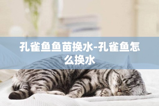 孔雀魚魚苗換水-孔雀魚怎么換水