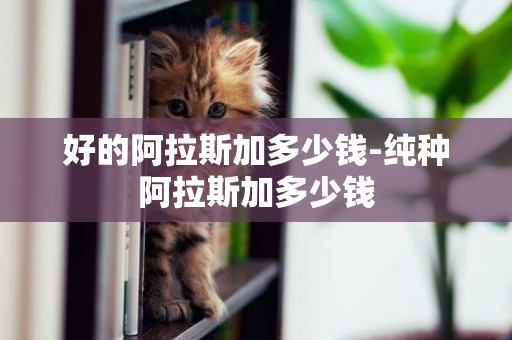 好的阿拉斯加多少錢-純種阿拉斯加多少錢