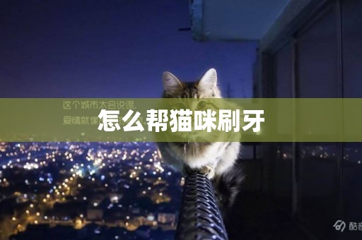 怎么幫貓咪刷牙