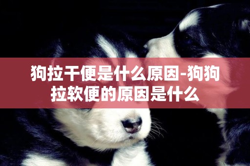 狗拉干便是什么原因-狗狗拉軟便的原因是什么