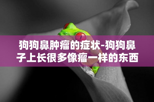 狗狗鼻腫瘤的癥狀-狗狗鼻子上長很多像瘤一樣的東西，是不是什么皮膚病