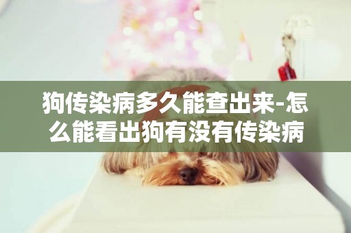 狗傳染病多久能查出來-怎么能看出狗有沒有傳染病