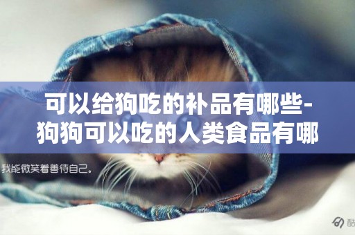 可以給狗吃的補品有哪些-狗狗可以吃的人類食品有哪些
