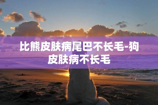 比熊皮膚病尾巴不長毛-狗皮膚病不長毛
