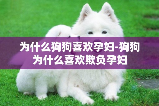 為什么狗狗喜歡孕婦-狗狗為什么喜歡欺負孕婦