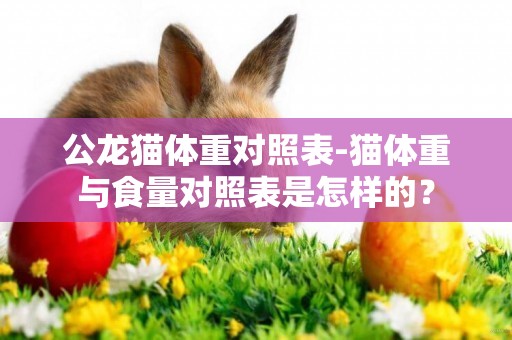公龍貓體重對照表-貓體重與食量對照表是怎樣的？