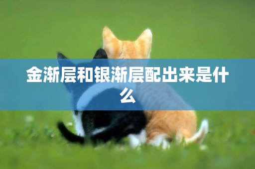 金漸層和銀漸層配出來是什么
