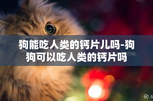 狗能吃人類的鈣片兒嗎-狗狗可以吃人類的鈣片嗎